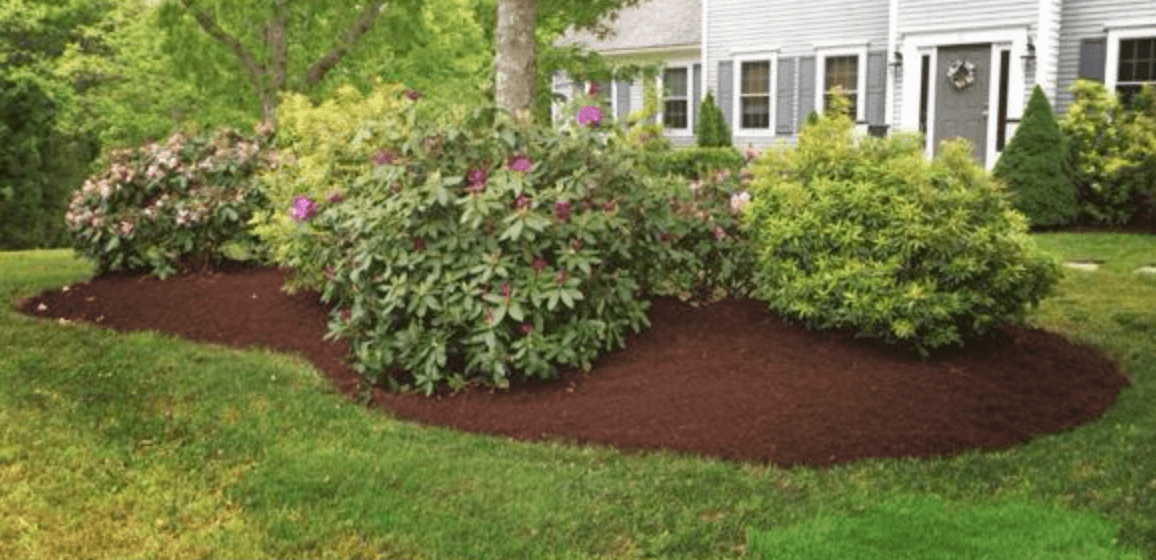 After shot of Mulch Installation