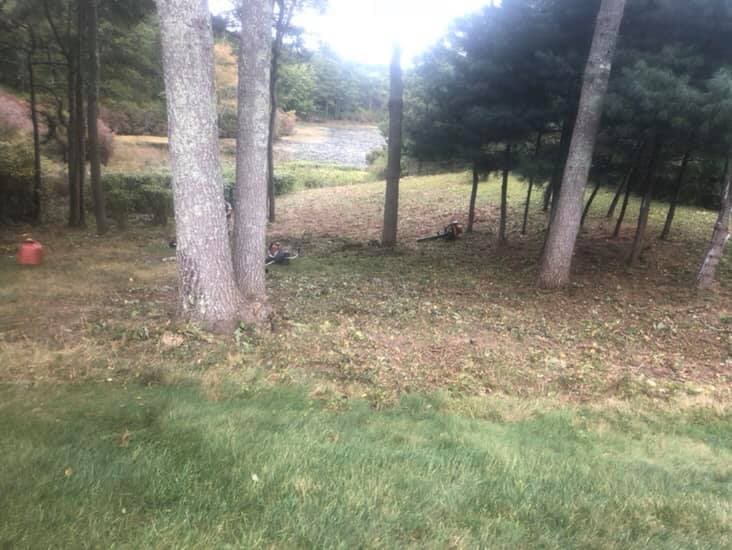 After shot of Bush Mowing