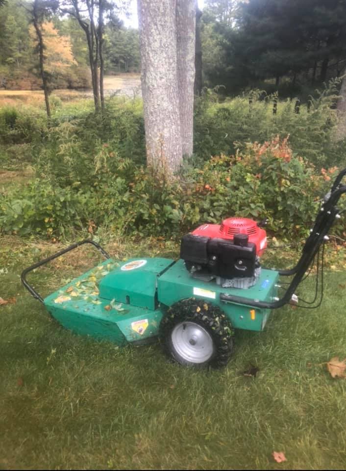 Before shot of Bush Mowing